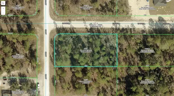 15302 Sawbill Avenue, WEEKI WACHEE, FL 34614