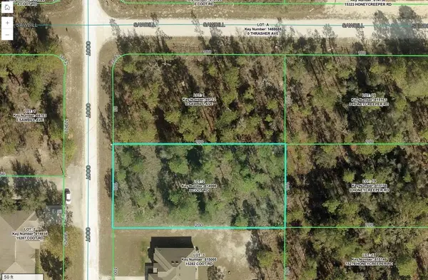 15292 Coot Road, WEEKI WACHEE, FL 34614