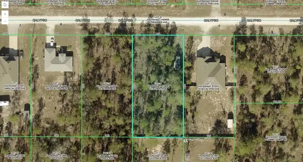 14072 Calypso Avenue, WEEKI WACHEE, FL 34614