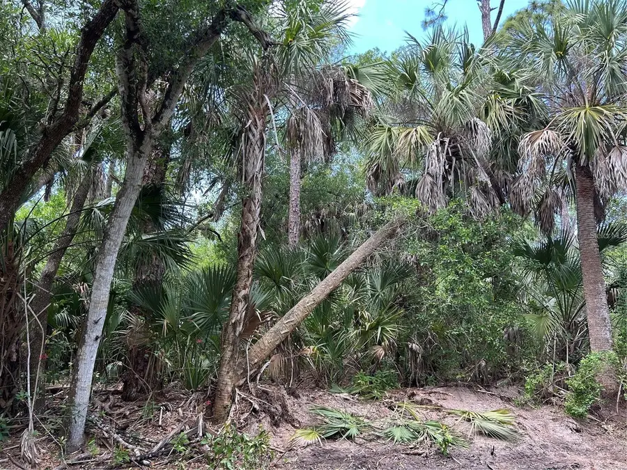 7022 Riverside Drive, Punta Gorda, FL 33982 - #3