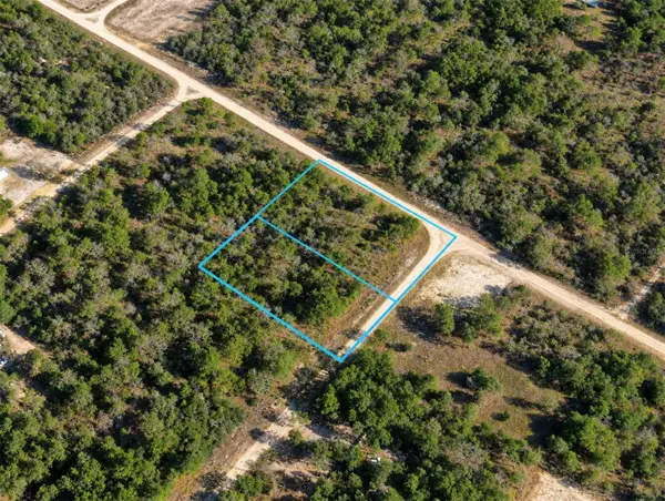 138 & 142 Franklin Drive, HAWTHORNE, FL 32640