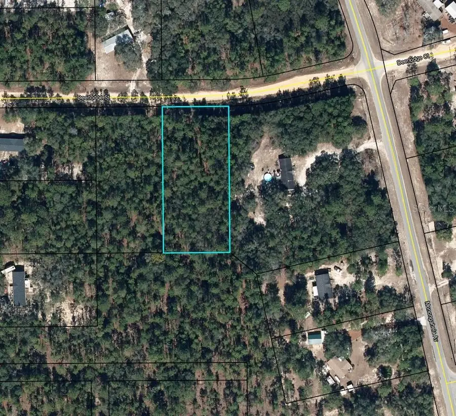 5615 Deerlodge Street, Keystone Heights, FL 32656 - #2