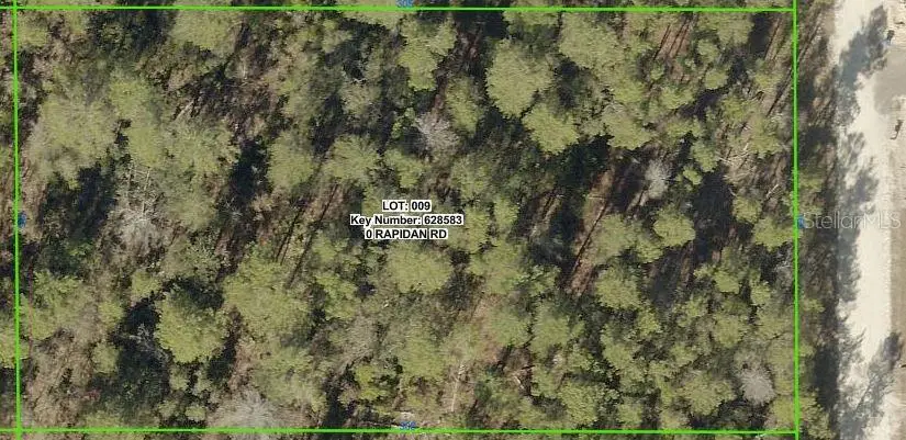 18183 Rapidan Road, Weeki Wachee, FL 34614 - #1