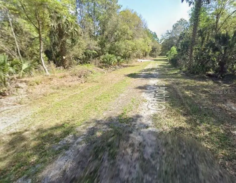 112 Chipola Drive, Georgetown, FL 32139 - #2