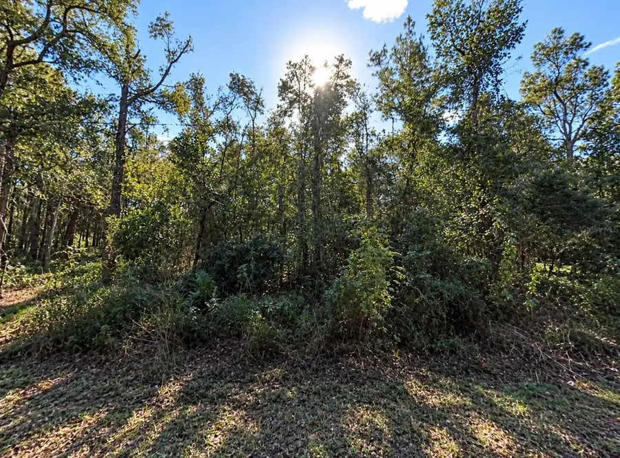 SW 8th Street, Ocala, FL 34481 - #2