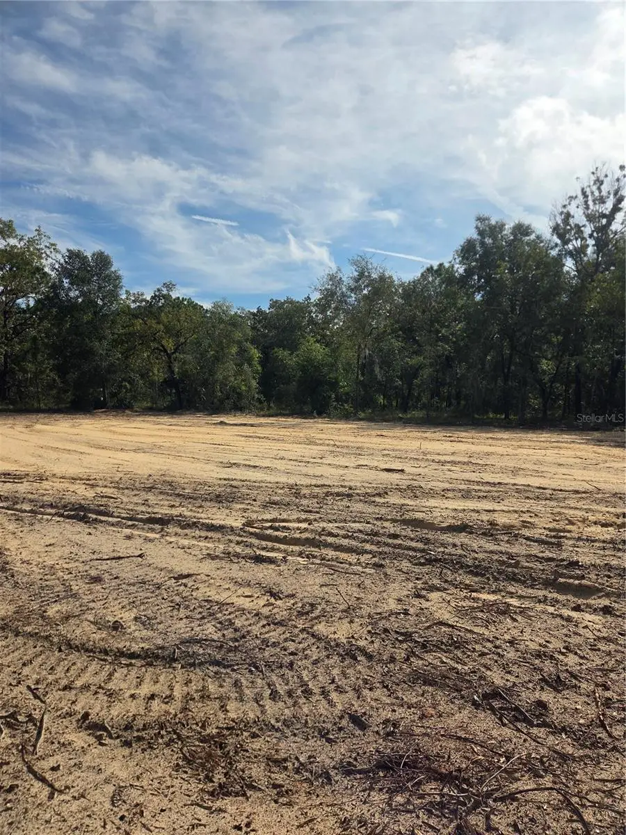 16016 Sheldrake Loop, Weeki Wachee, FL 34614 - #1