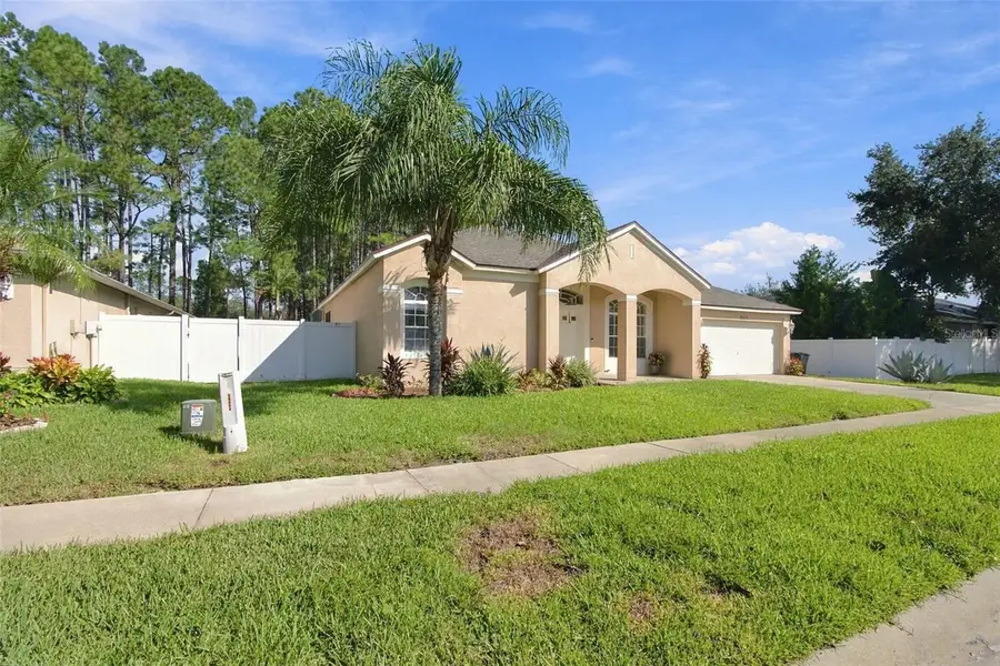20827 Woodvale Lane, Land O Lakes, FL 34638 - #2
