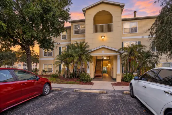 18119 Bridle Bit Lane #18119, TAMPA, FL 33647