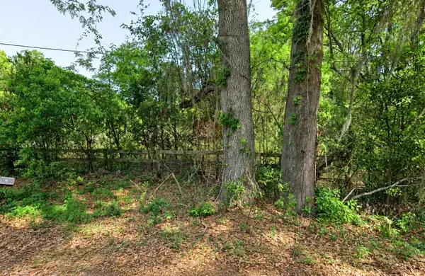 NE 175th Street, CITRA, FL 32113