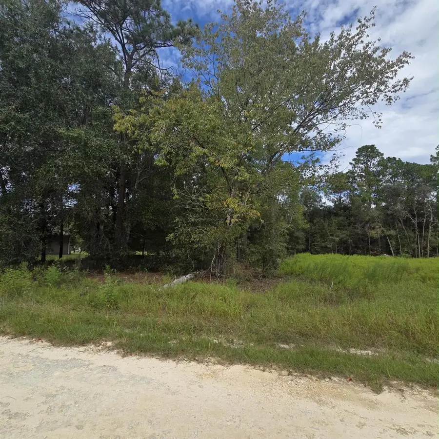 Lot 14 SW 28tth Lane, Ocala, FL 34481 - #2