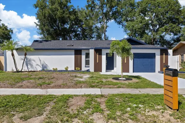 517 Falkirk Avenue, VALRICO, FL 33594
