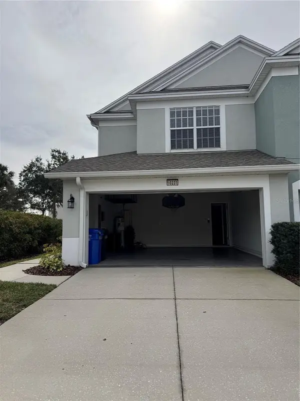 10231 Pink Palmata Court, RIVERVIEW, FL 33578