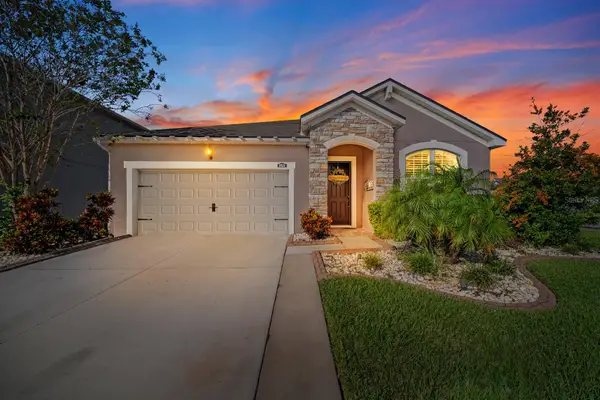 10654 Planer Picket Drive, RIVERVIEW, FL 33569