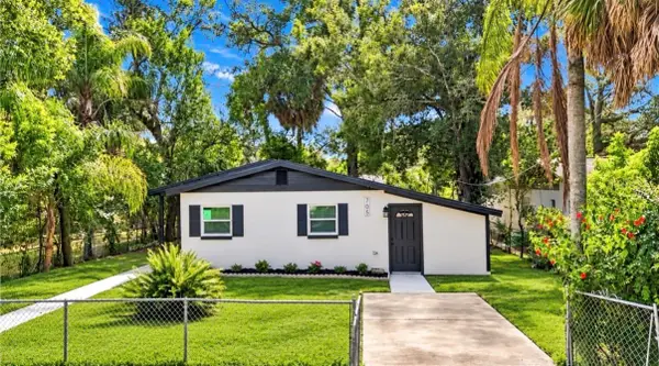 705 E Eskimo Avenue, TAMPA, FL 33604