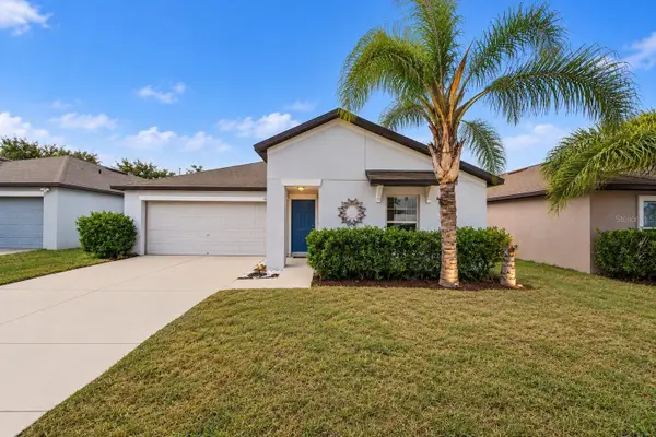 12639 Lemon Pepper Drive, RIVERVIEW, FL 33578