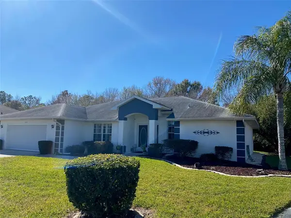 10504 Moshie Lane, SAN ANTONIO, FL 33576