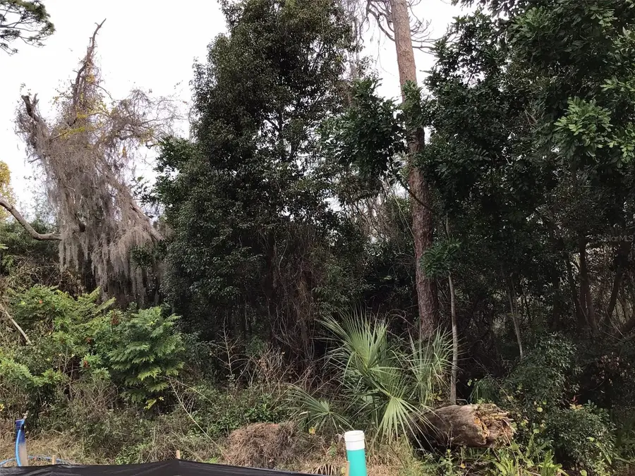 1305 Almaria Court, Palm Harbor, FL 34683 - Image #2