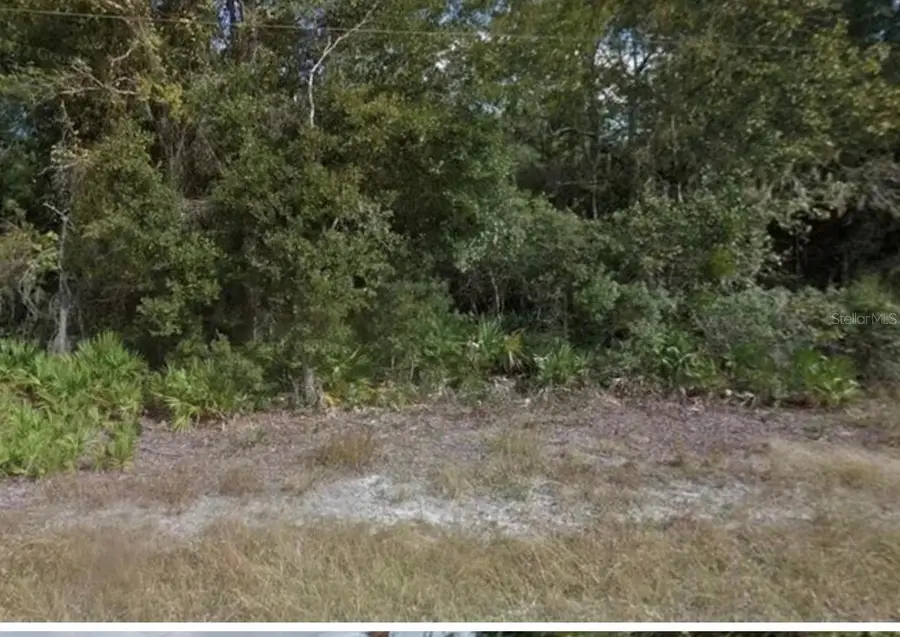 0 Mitchell Avenue, Mims, FL 32754 - Image #3