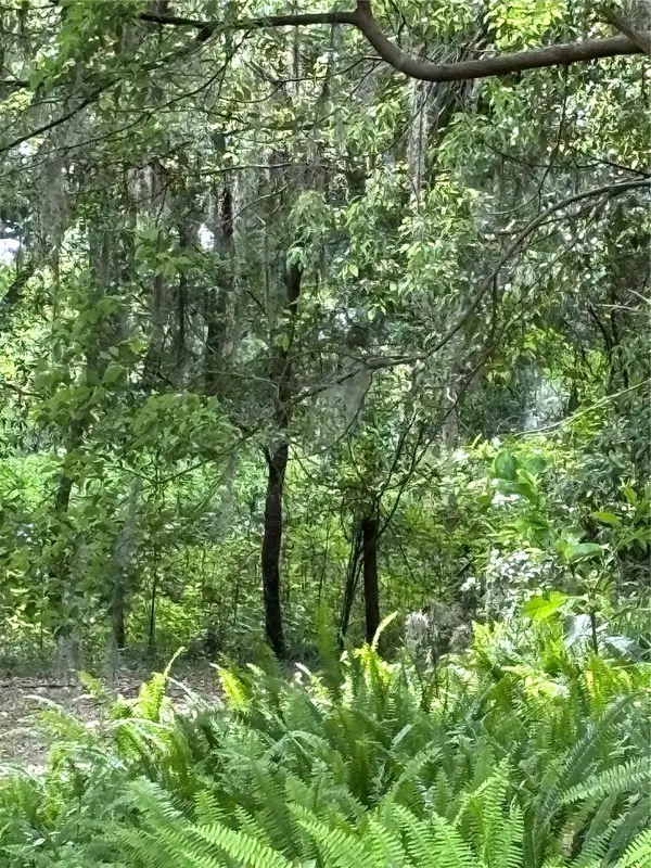 Grand Avenue, DELAND, FL 32720