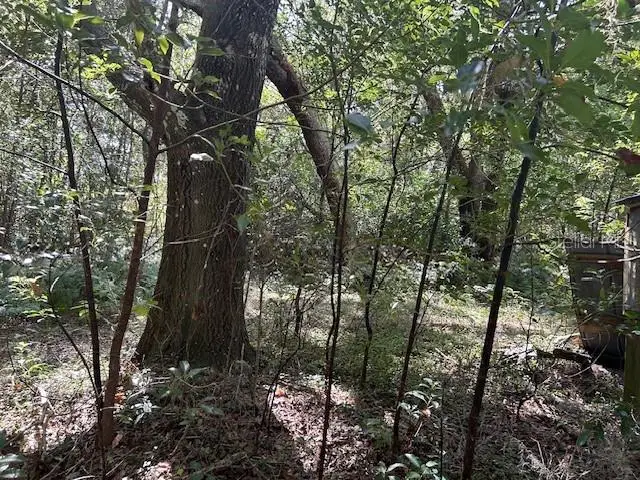 #3