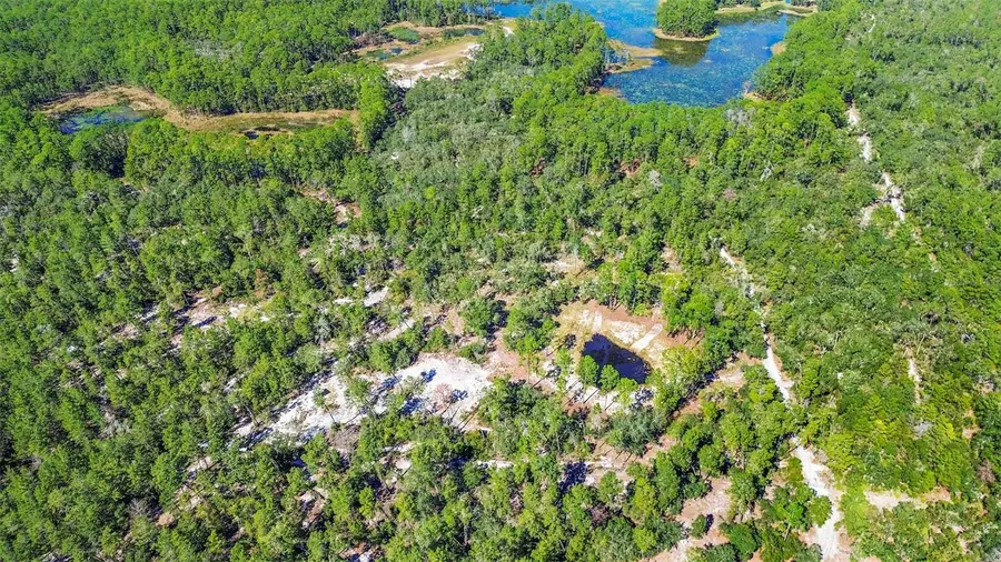 Deep Woods Road, Paisley, FL 32767 - Image #3