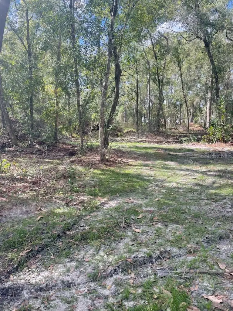 2406 E International Speedway Boulevard, Deland, FL 32724 - Image #2