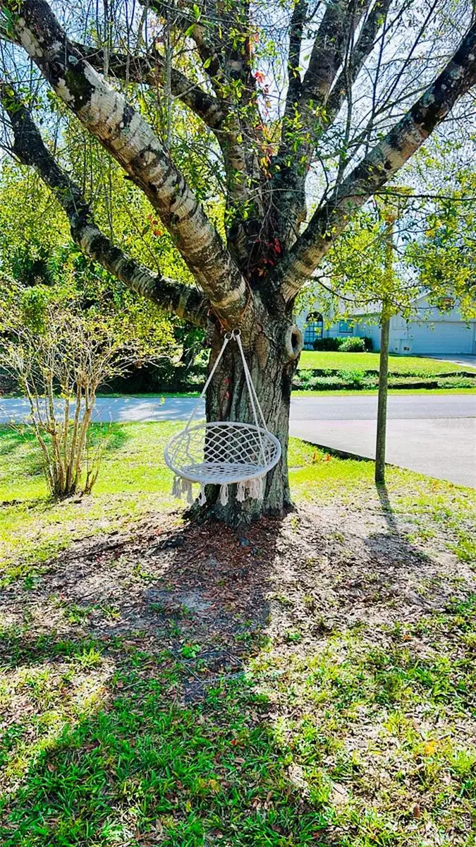 3144 Boxelder Street, Deltona, FL 32725 - Image #3