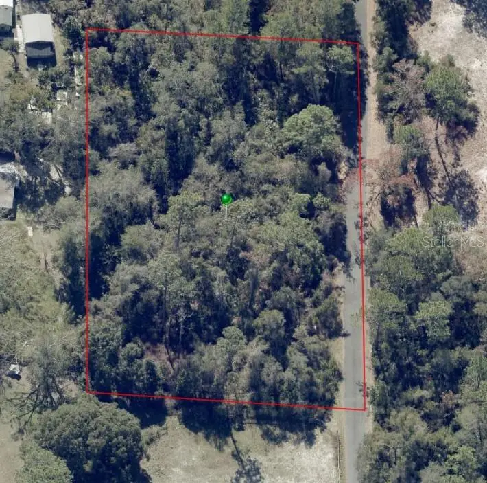 625 Lake Butler Avenue, Osteen, FL 32764 - Image #3