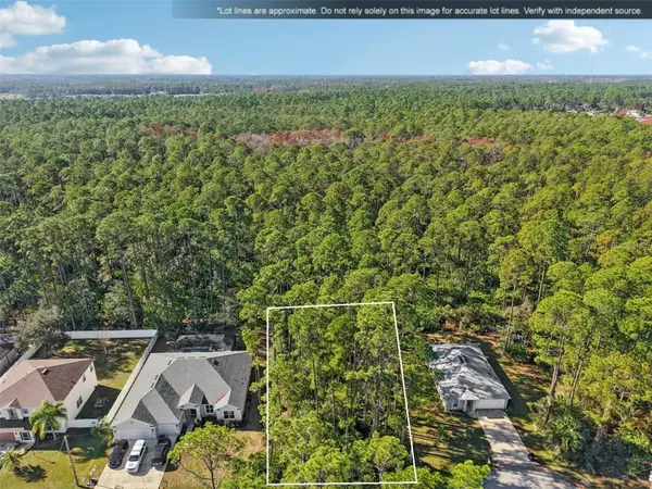 7 Riddle Place, PALM COAST, FL 32164