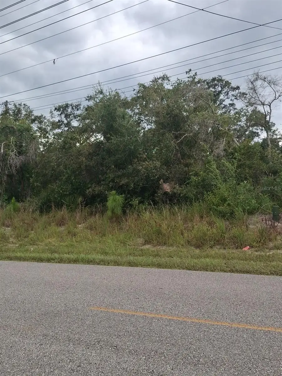 9th Avenue, Deland, FL 32724 - #2
