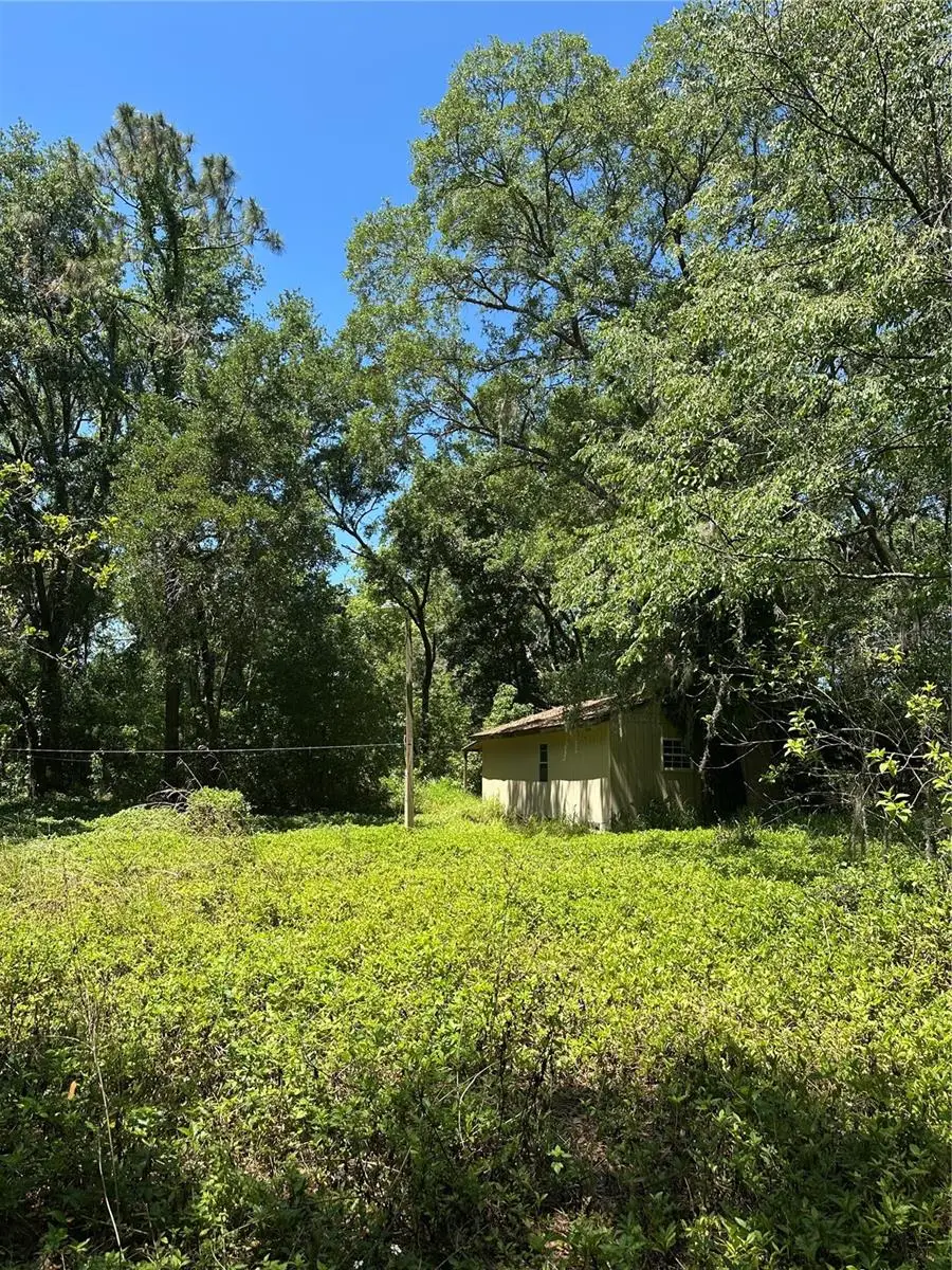 14439 Mascotte Empire Road, Groveland, FL 34736 - Image #2