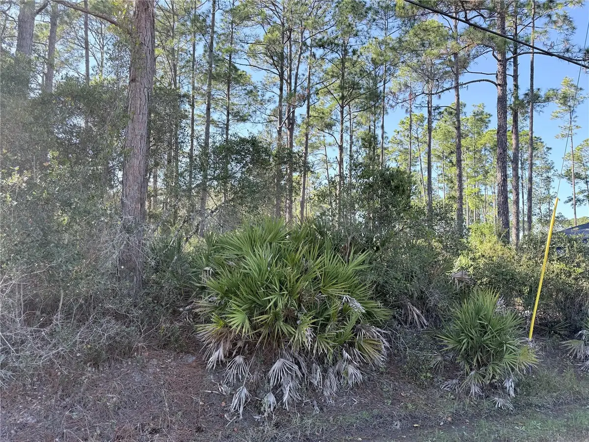 1720 10th, Deland, FL 32724 - Image #1