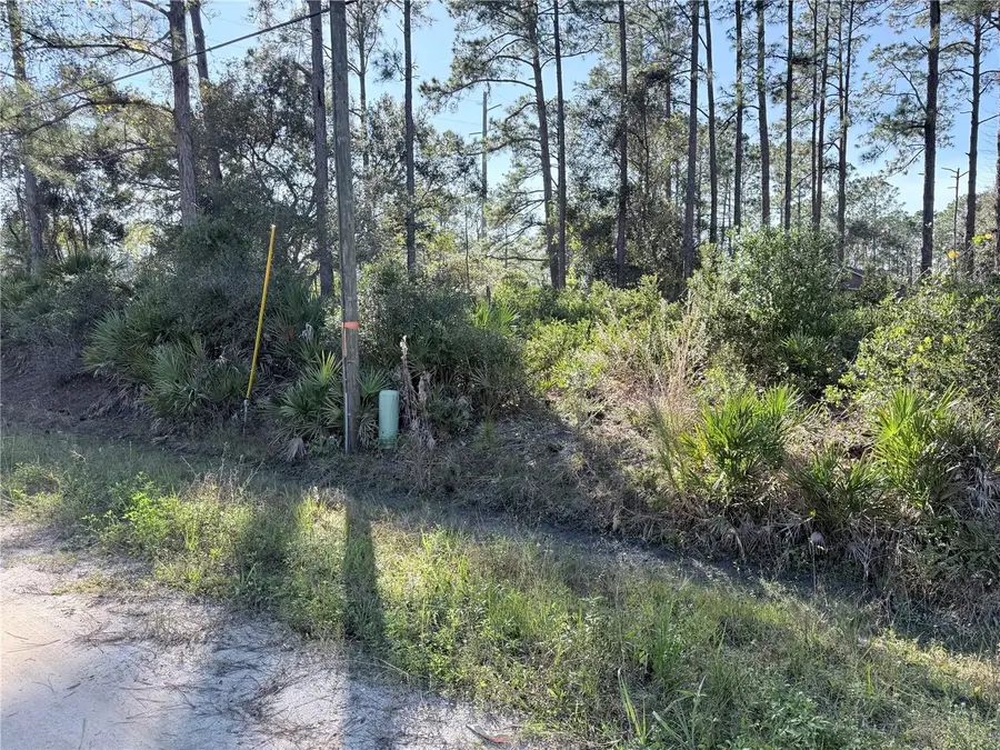 1720 10th, Deland, FL 32724 - Image #3