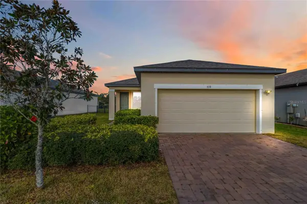 719 Ladyfish Lane, NEW SMYRNA BEACH, FL 32168