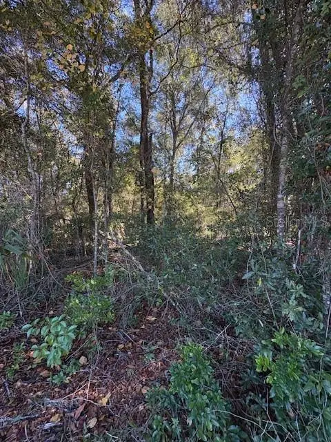 345 S Ridgewood Avenue, Deland, FL 32720 - Image #3