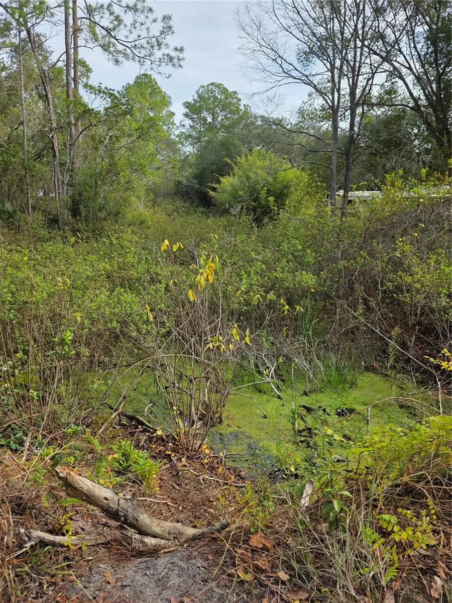 Akron Drive, Paisley, FL 32767 - Image #2