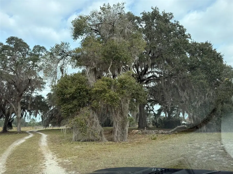 29605 Fullerville Road, Deland, FL 32720 - Image #3