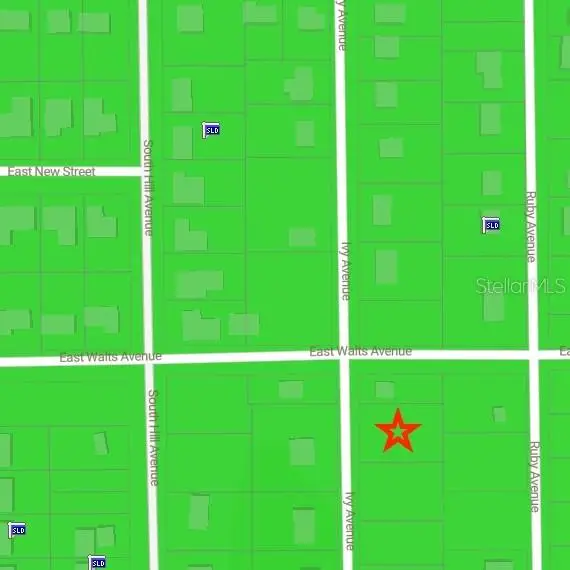 407 Ivy Avenue, Deland, FL 32724 - Image #3