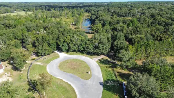Lot 6 Tree Frog Lane, EUSTIS, FL 32736