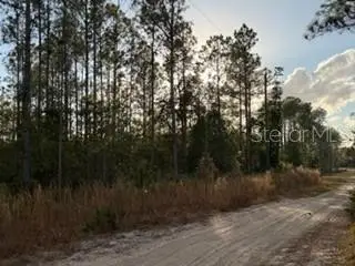 880 Still Road, Pierson, FL 32180 - #3