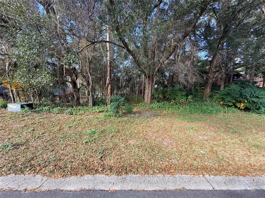 1482 Covered Bridge Drive, Deland, FL 32724 - Image #3