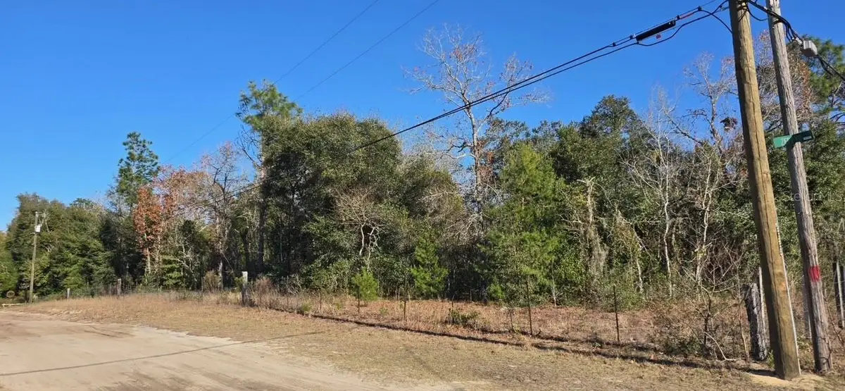 7195 Gas Line Road, Keystone Heights, FL 32656 - #1