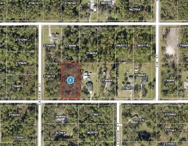 Saffron Avenue, EUSTIS, FL 32736