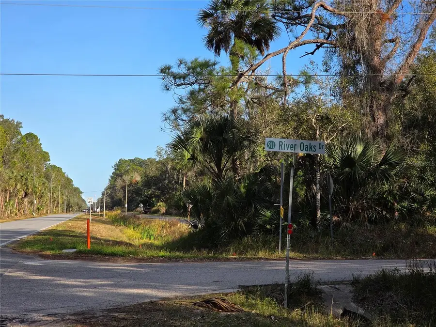 1243 Gee Whiz Drive, Osteen, FL 32764 - Image #2