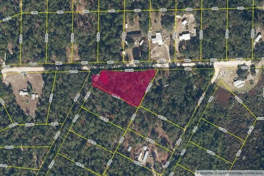 Lake Margaret Blvd, Pomona Park, FL 32181 - #2