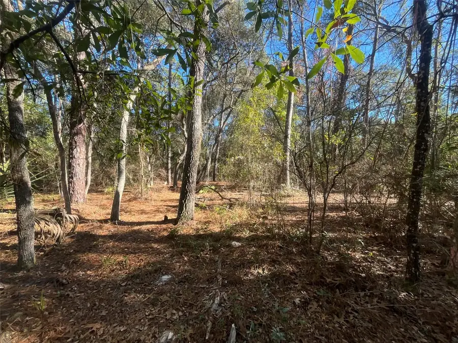 Lake Margaret Blvd, Pomona Park, FL 32181 - #3