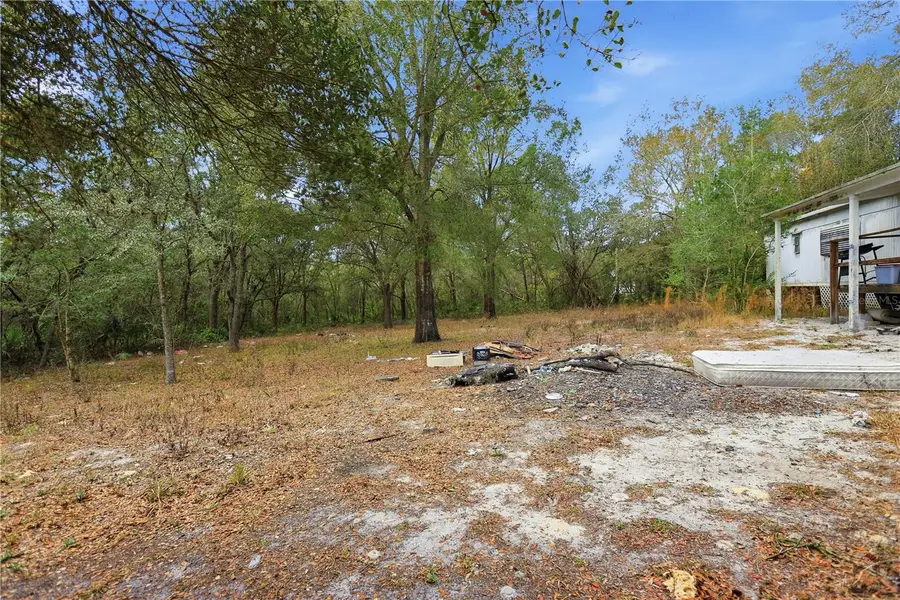 40707 Lois Street, Eustis, FL 32736 - #3