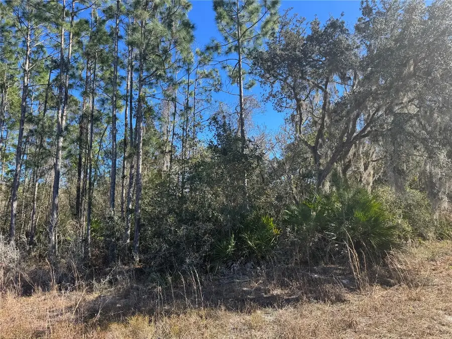 Grace Avenue, Deland, FL 32720 - #3