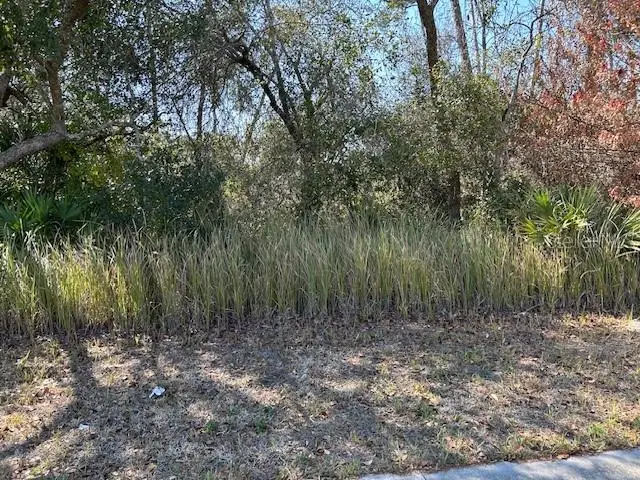 825 Fort Smith Boulevard, Deltona, FL 32738 - #2