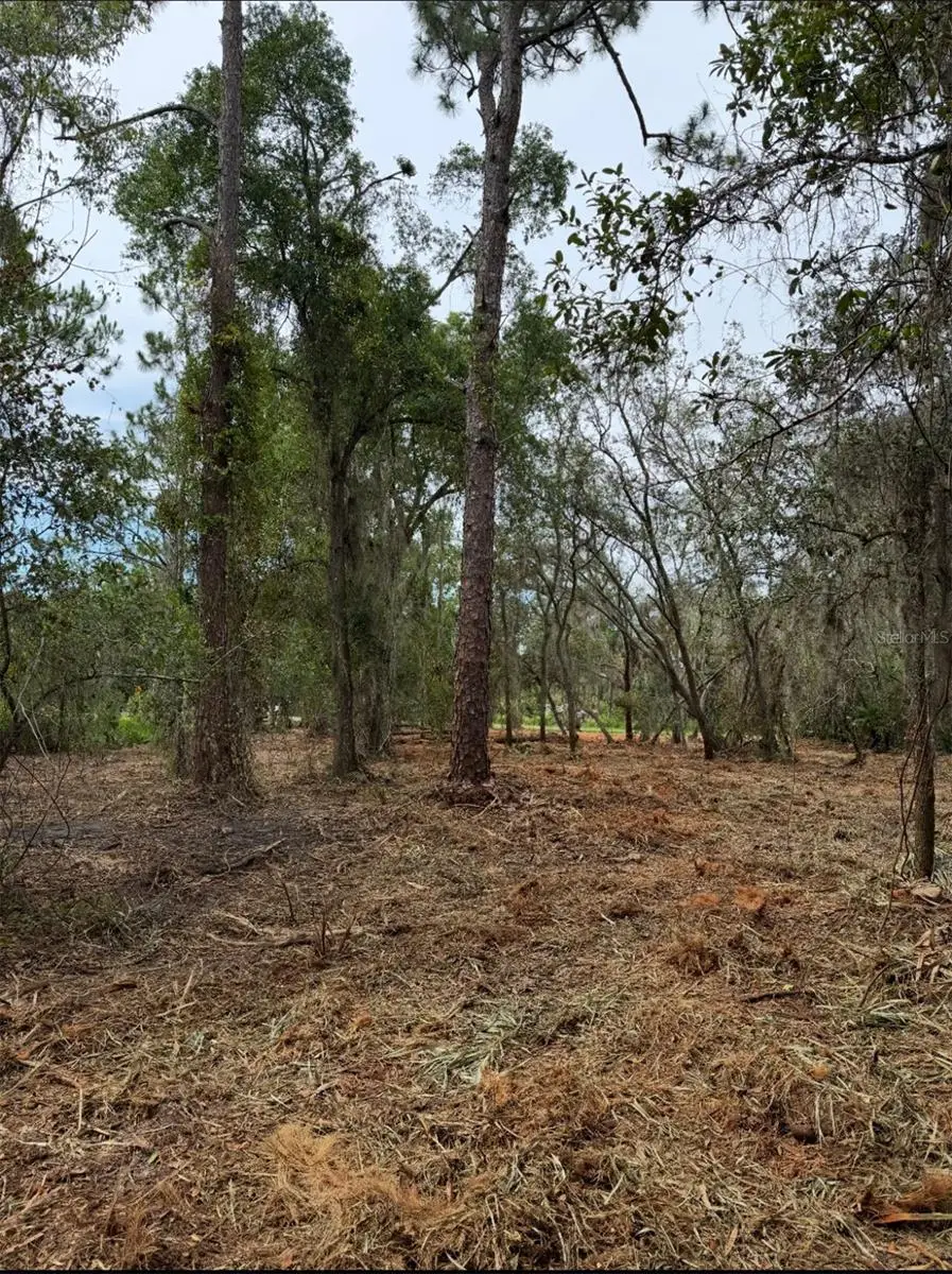 Spring Garden Ranch Rd, De Leon Springs, FL 32130 - #3